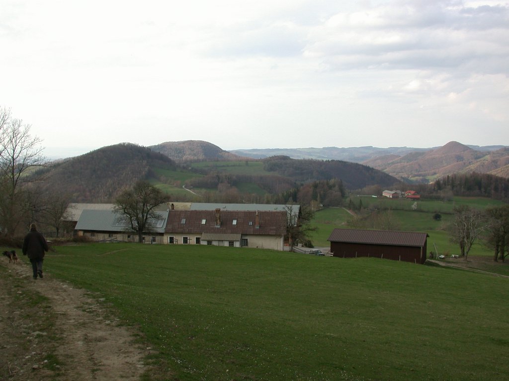 DSCN5114.JPG