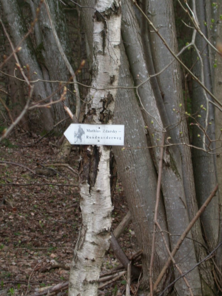 DSCN5115.JPG