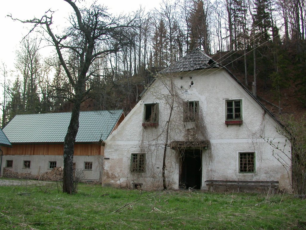 DSCN5117.JPG