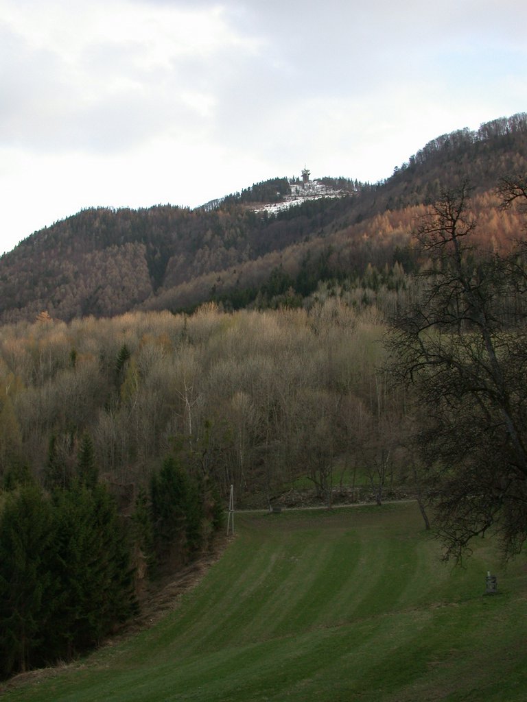 DSCN5119.JPG
