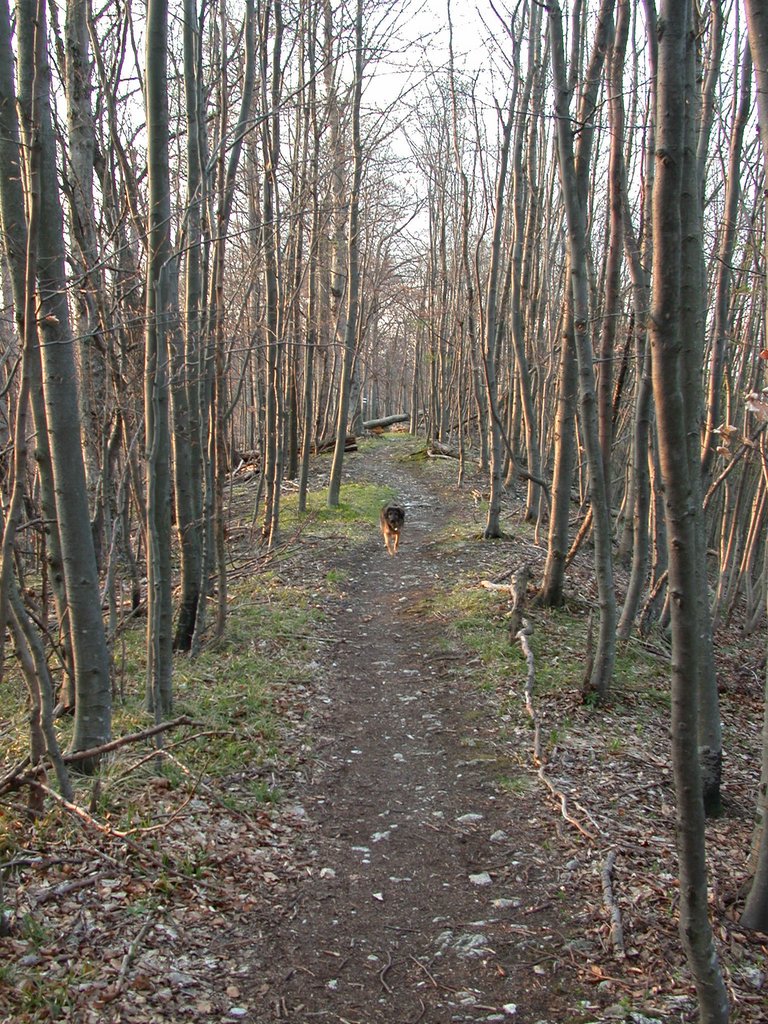 DSCN5120.JPG