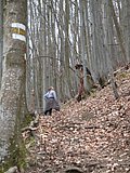 DSCN5074.JPG