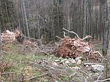 DSCN5076.JPG