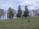 DSCN5082.JPG