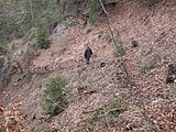 DSCN5110.JPG