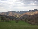 DSCN5113.JPG
