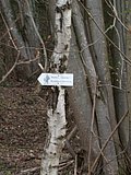 DSCN5115.JPG
