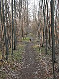 DSCN5120.JPG