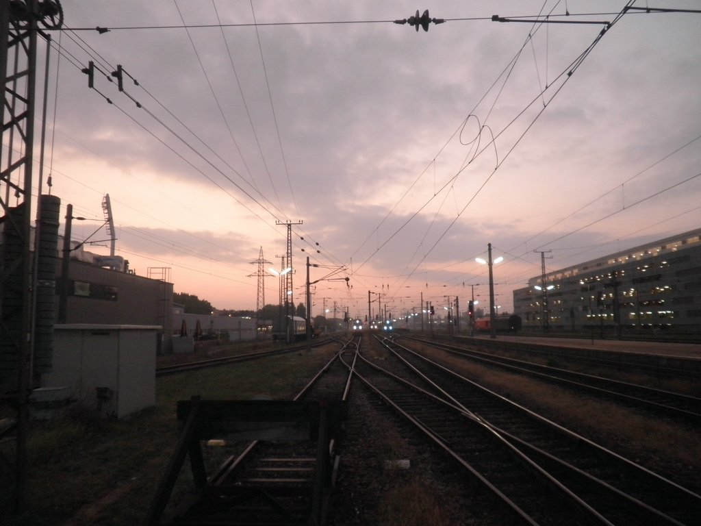 P9220001.JPG