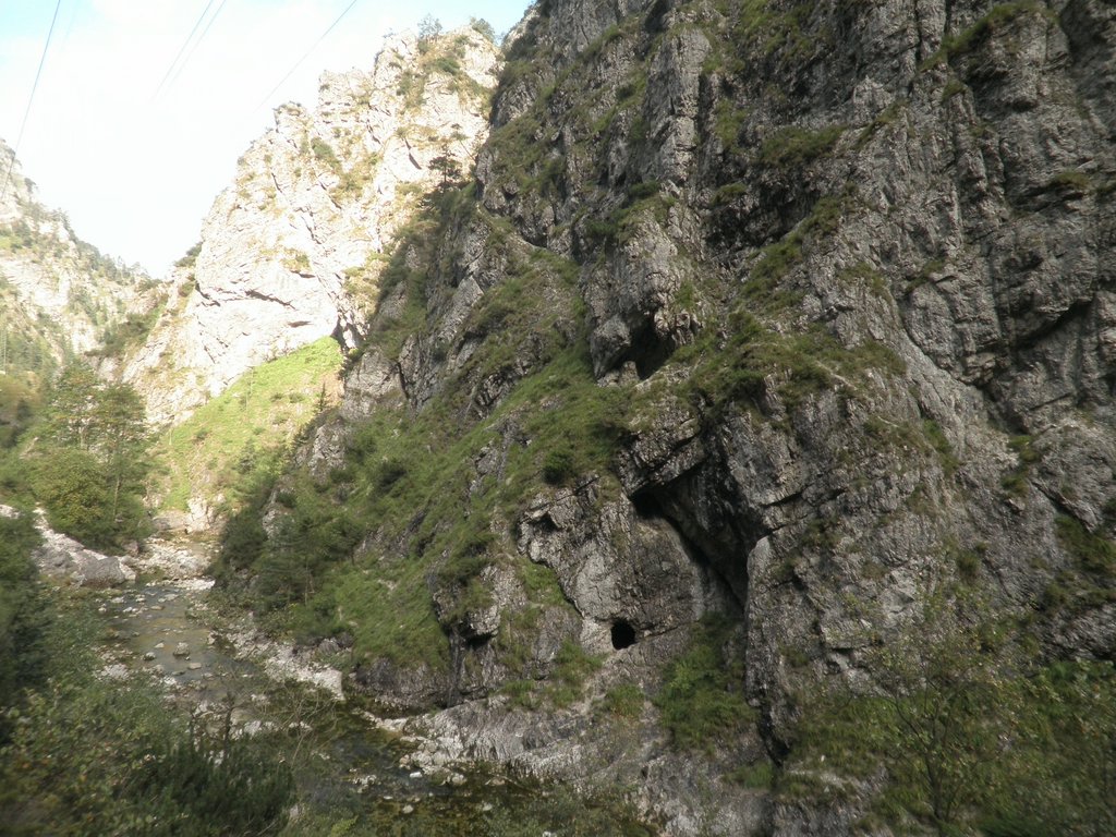 P9220032.JPG