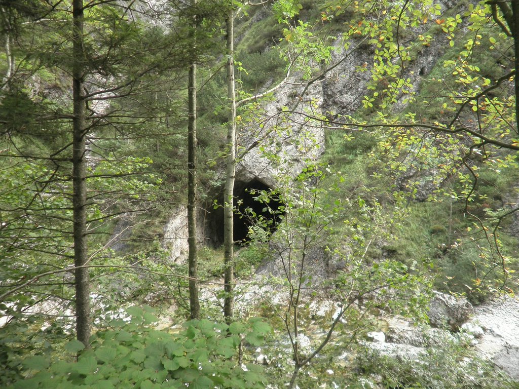 P9220033.JPG