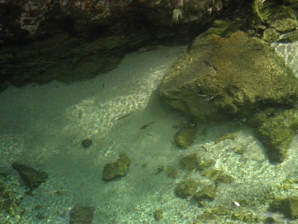 P9220040.JPG
