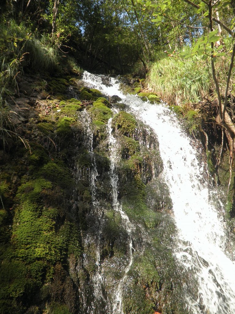 P9220041.JPG
