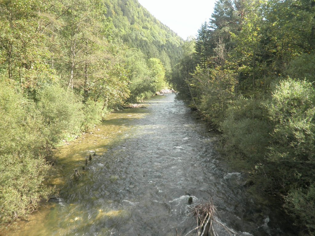 P9220053.JPG