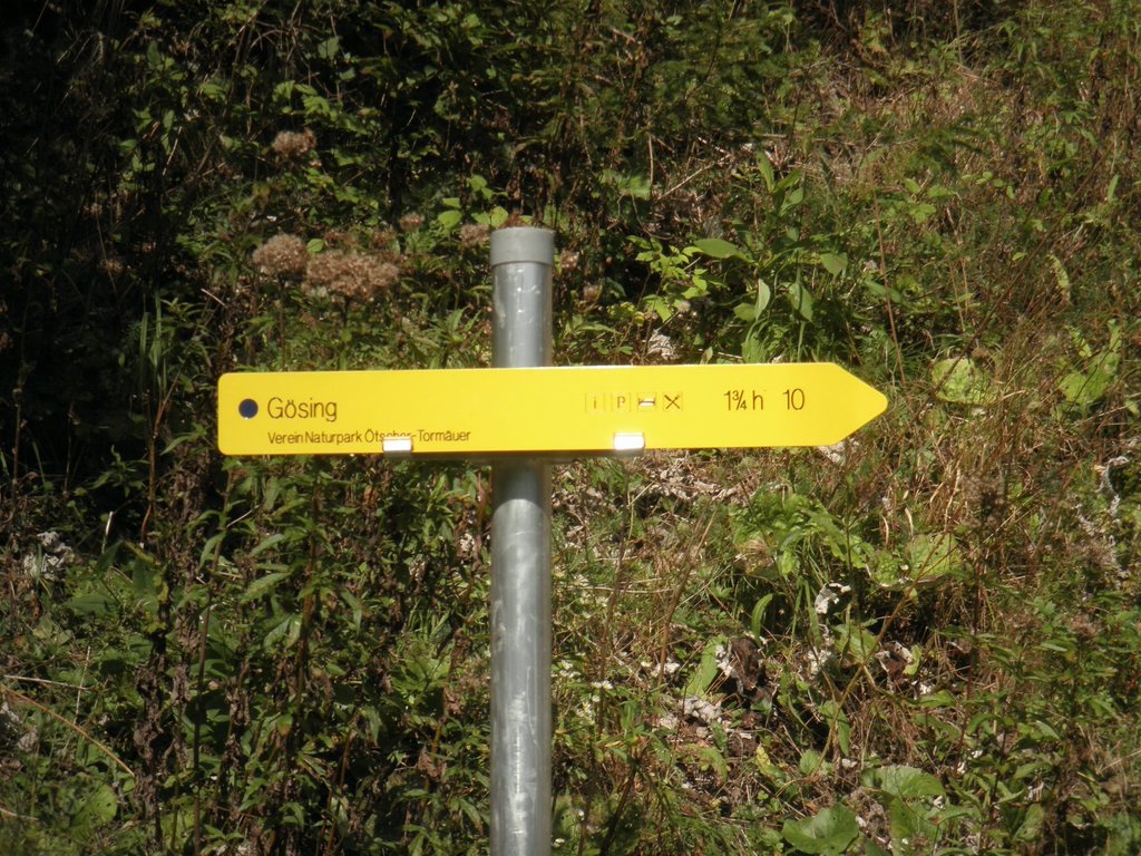 P9220054.JPG