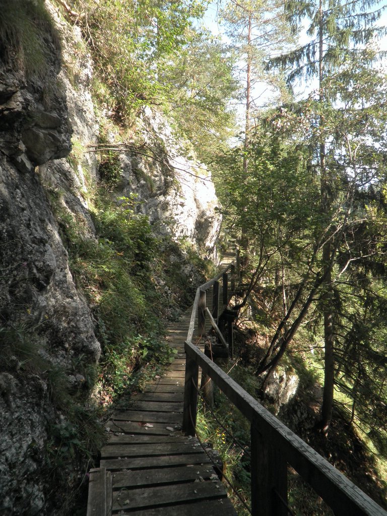 P9220065.JPG