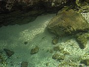 P9220040.JPG