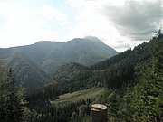 P9220063.JPG