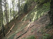 P9220066.JPG