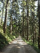 P9220067.JPG