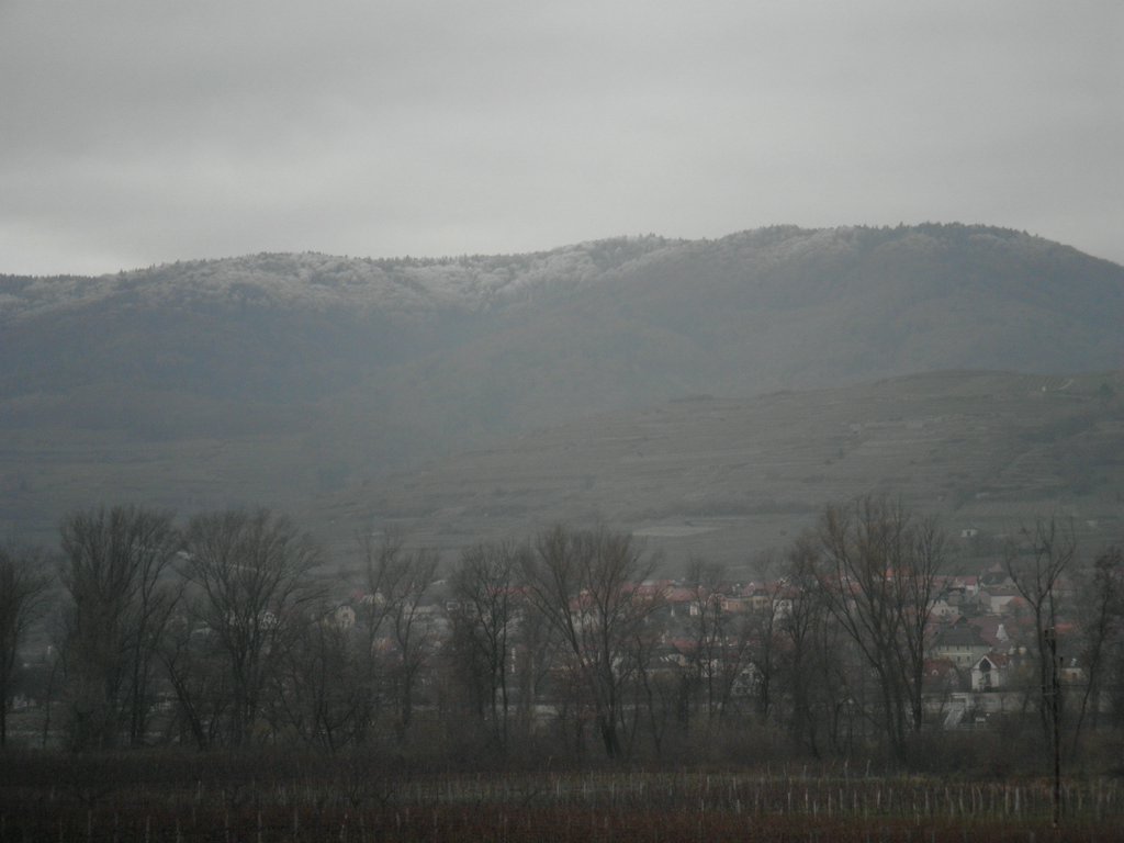 PC050004.JPG