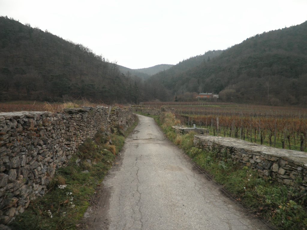 PC050005.JPG