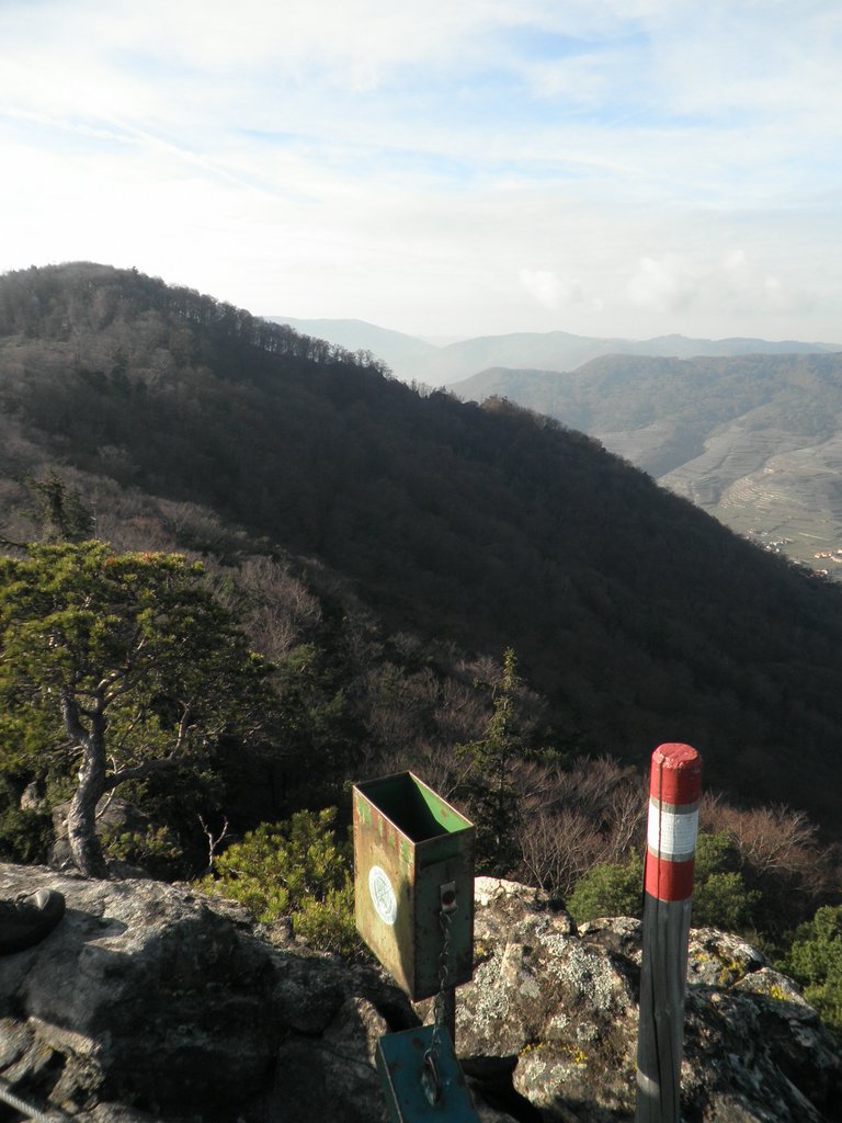 PC050046.JPG