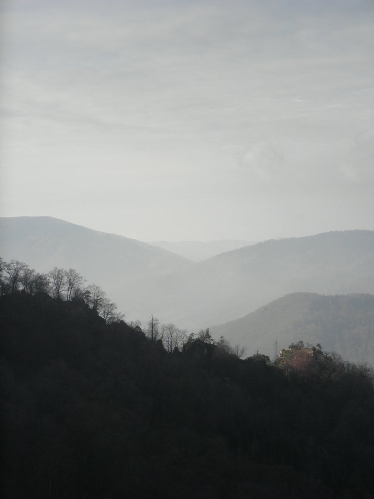 PC050048.JPG