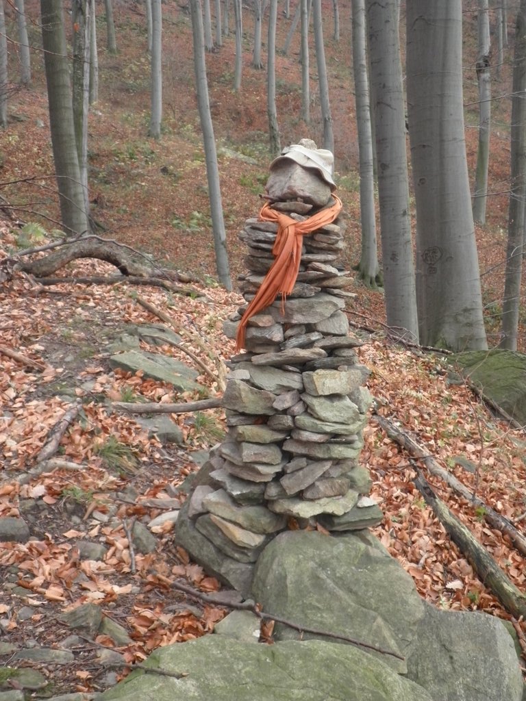 PC050071.JPG