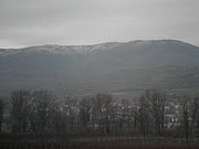 PC050004.JPG