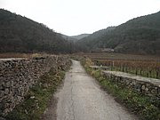 PC050005.JPG