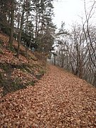 PC050006.JPG