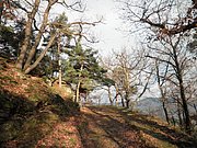 PC050010.JPG