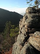 PC050025.JPG