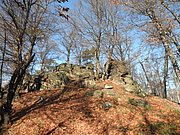 PC050030.JPG