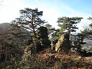 PC050032.JPG