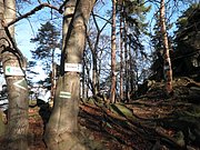 PC050033.JPG