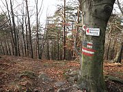 PC050063.JPG