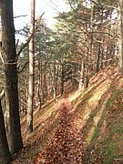 PC050064.JPG