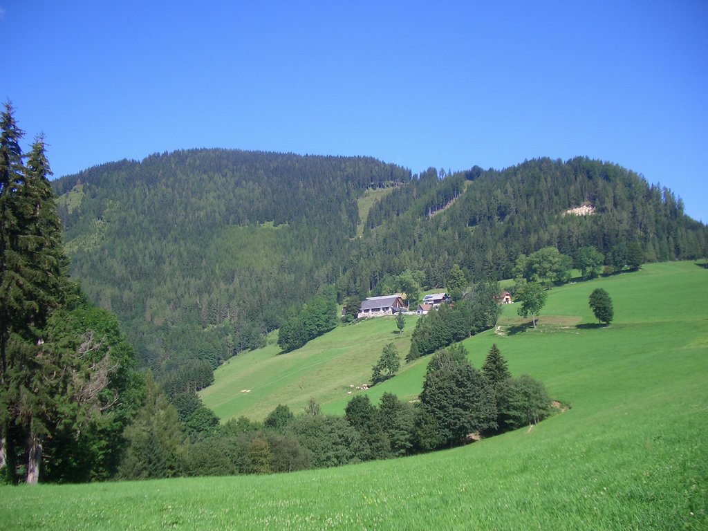 CIMG7066.JPG