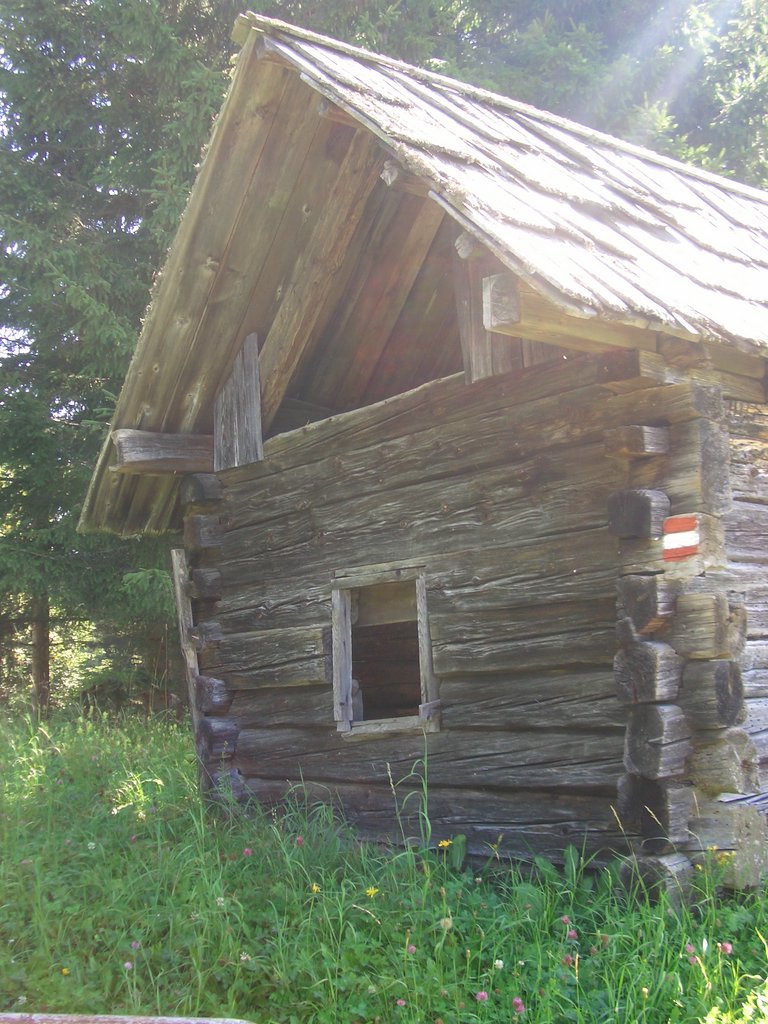 CIMG7073.JPG