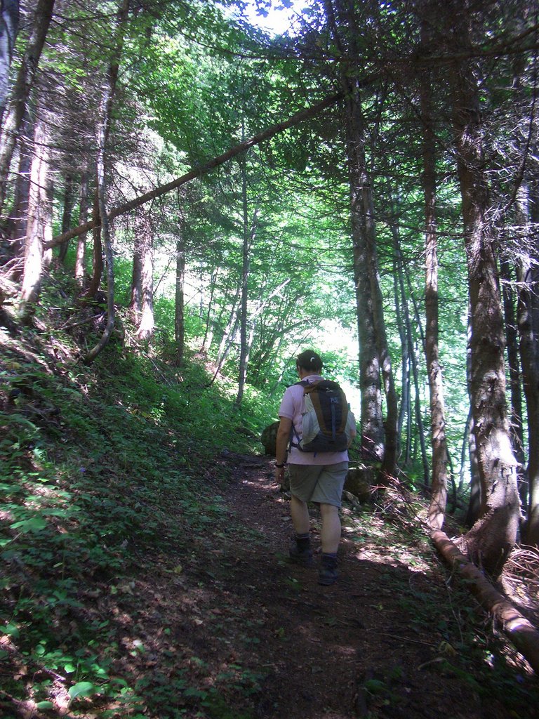 CIMG7093.JPG