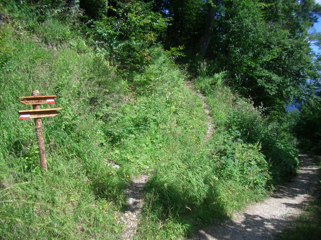 CIMG7094.JPG