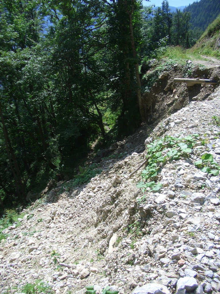 CIMG7096.JPG
