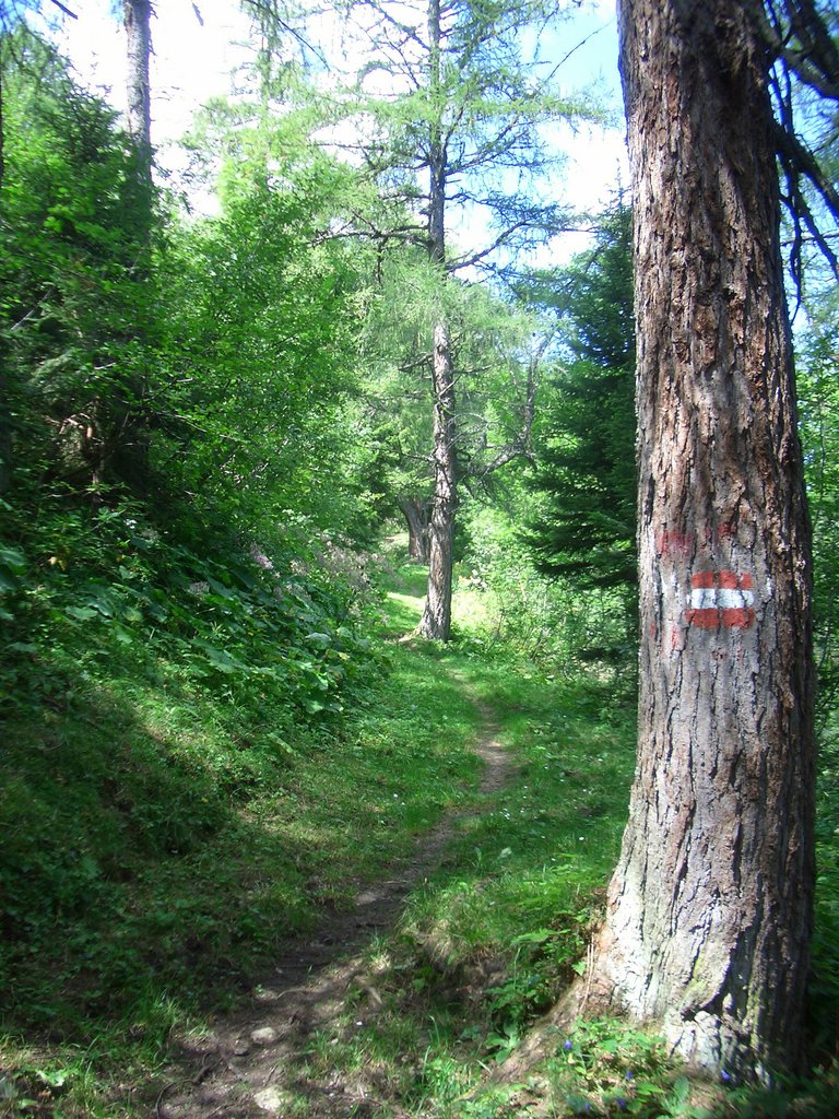 CIMG7104.JPG