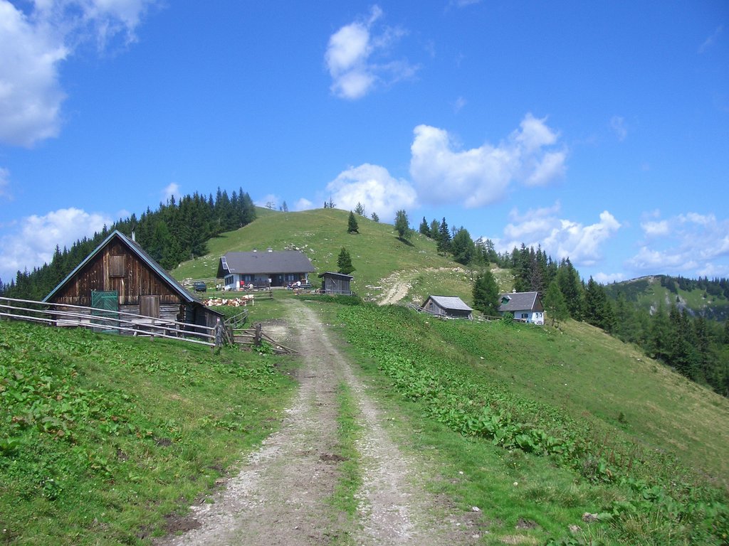 CIMG7114.JPG