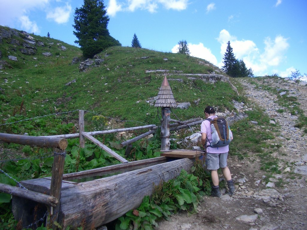 CIMG7118.JPG