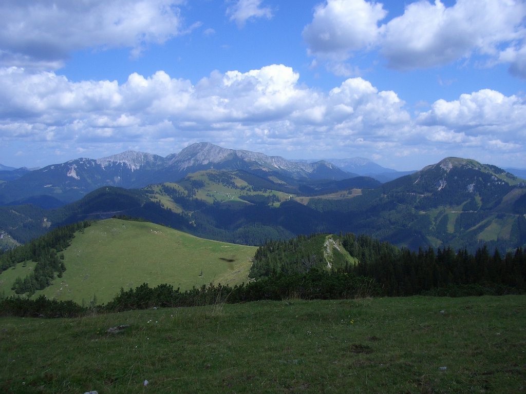 CIMG7125.JPG