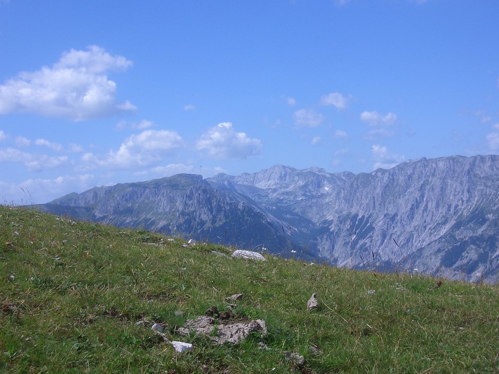 CIMG7127.JPG