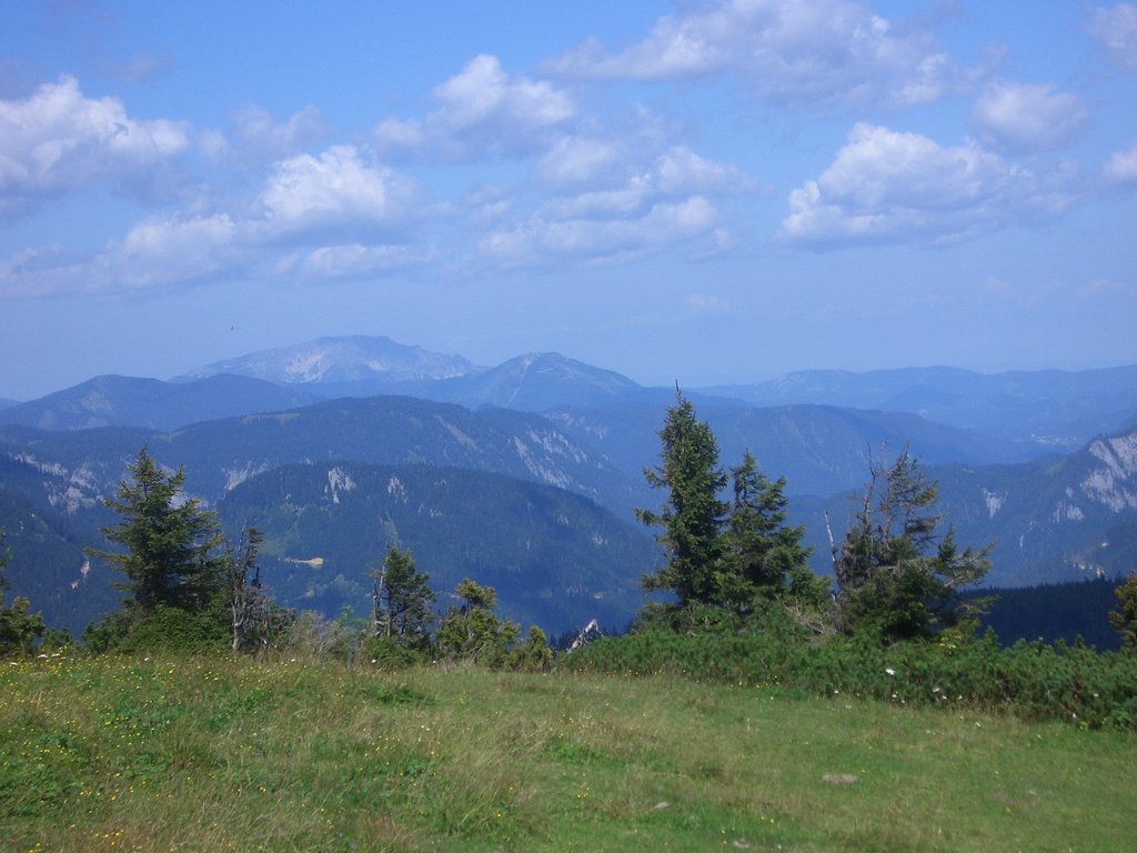 CIMG7129.JPG